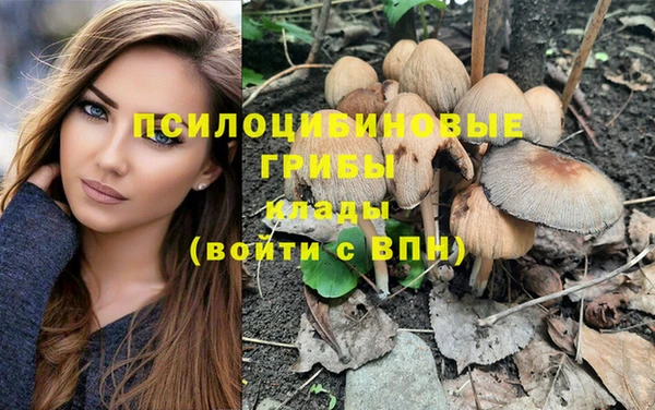 ГАЛЛЮЦИНОГЕННЫЕ ГРИБЫ Саяногорск