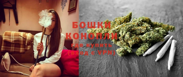 молекула духа Сафоново