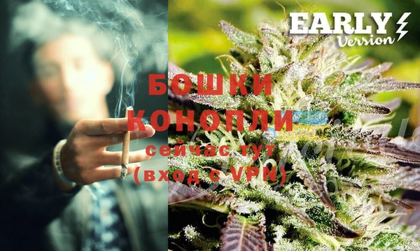 ГАЛЛЮЦИНОГЕННЫЕ ГРИБЫ Саяногорск